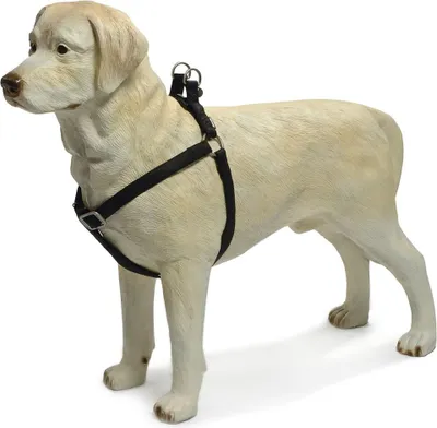 Produktbild von Beeztees - Hundegeschirr - Mac Kunstleder - schwarz - 50-75 cm