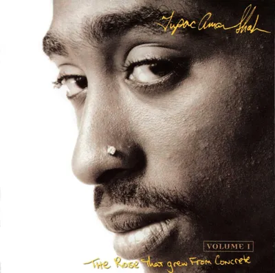Produktbild von (2Pac Tribute)-Rose That Grew From Concret
