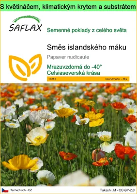 Obrázek produktu pro SAFLAX Garden to go - Směs islandského máku - Papaver nudicaule - 8000 Semena - S květináčem, klimatickou poklicí a pěstebním substrátem