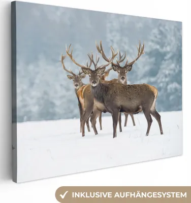 Produktbild von MuchoWow® - Leinwandbilder - Hirsche - Tiere - Schnee - Winter - Landschaft - Natur, Wandbild, Wanddeko Bilder Wohnzimmer, 120x90 cm