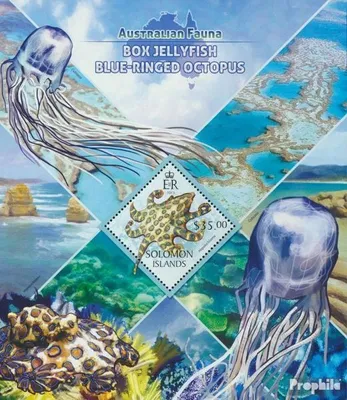 Produktbild von Briefmarken Salomoninseln 2013 Mi Block 168 (kompl. Ausg.) postfrisch Würfelqualle Blauringkrake