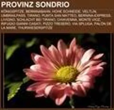 Produktbild von Provinz Sondrio