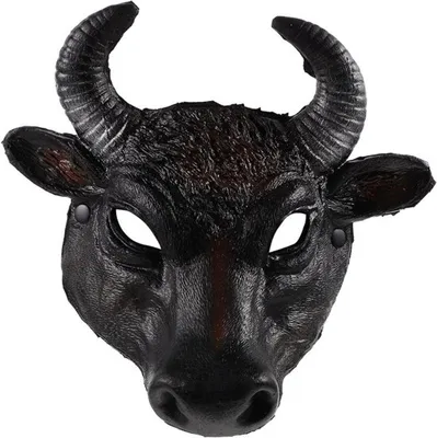 Ganzkopfmaske, Hauptbild