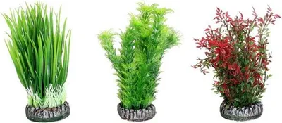 Zdjęcie produktu dla Plastik roślinny Sri Lanka mix Flamingo mix, S/13,8 cm