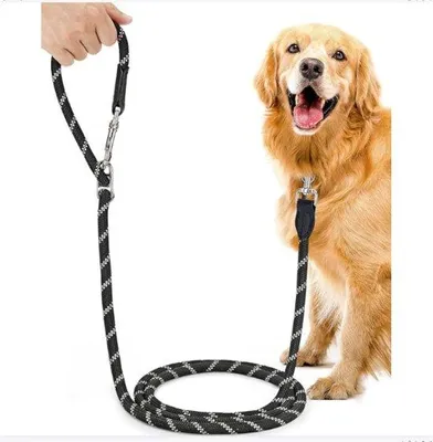 Produktbild von Famanu Hundeleine - Komfortabel und Sicher für Kleine und Große Hunde