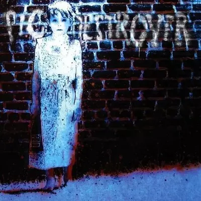 Productafbeelding van Pig Destroyer - Boekverbranderaar