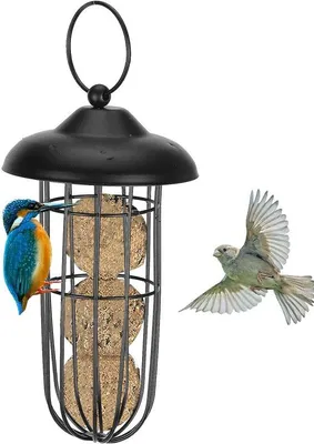 Image de Mangeoire suspendue, station d'alimentation pour oiseaux sauvages, mangeoire suspendue, jardin