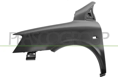 Produktbild von PRASCO FT7173014 Kotflügel Vorne Links für FIAT MULTIPLA (186)