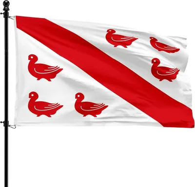 Productafbeelding van Gemeentevlag van Tinlot, 90 x 150 cm, polyester, geschikt voor vlaggenmast