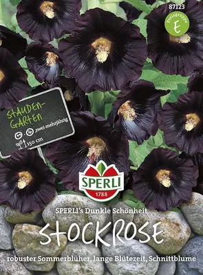 Produktbild von Sperli Stockrosensamen Dunkle Schönheit