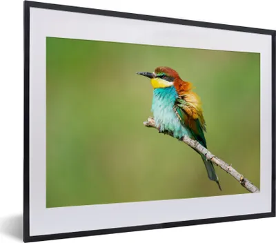 Produktbild von MuchoWow® Gerahmtes Poster Vogel - Tiere - Bienenfresser 40x30 cm - Poster mit Schwarzem Bilderrahmen Wandposter Rahmen Foto Bilder - Bilderrahmen - Poster im Rahmen