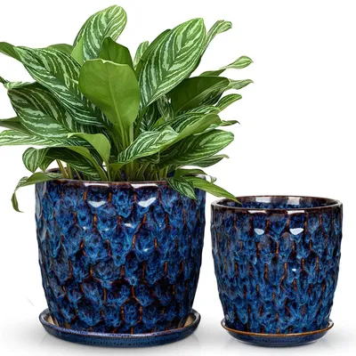 Immagine prodotto di Set di 2 vasi decorativi con sottovasi