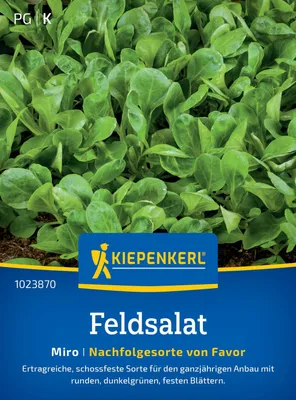 Produktbild von Kiepenkerl Feldsalatsamen Miro Valerianella locusta 15 lfd. Meter