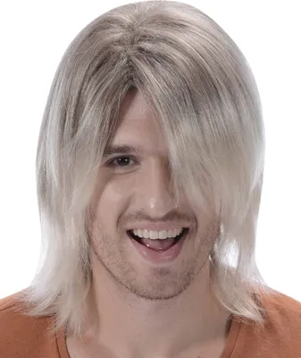 Produktbild von Blonde Surfer Perücke für Männer