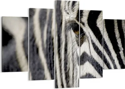 Produktbild von Bild auf Leinwand - Leinwandbild - Zebra Streifen Tierwelt Safari - 150x100cm - Wand Bild - Wanddeko - Leinwanddruck - Bilder - Kunstdruck - Leinwand bilder - Wandkunst - EA150x100-2195
