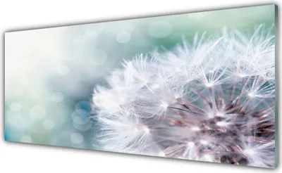 Produktbild von Glasbilder 125x50 Wandbild Druck auf Glas Pusteblume Pflanzen