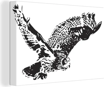 Produktbild von OneMillionCanvasses® - Leinwandbilder - 150x100 cm, Illustration einer fliegenden Eule, Wandbilder Kunstdruck Wanddekoration