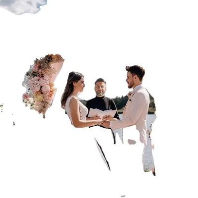 Image de Arc de mariage, construction métallique durable, design élégant , blanc, XXL