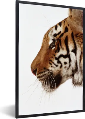 Produktbild von MuchoWow® MuchoWow® Gerahmtes Poster Nahaufnahme eines Tigers 40x60 cm - Poster mit zchwarzem Bilderrahmen - Papierdruck - Wandbilder