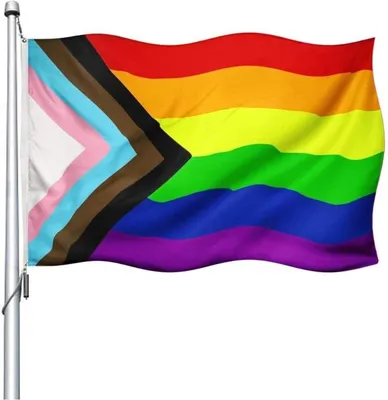 Image de Go Go Gadget – « Drapeau Progress Pride 150 x 90 cm | Heble® | Arc-en-ciel | Gay | Bisexuel »