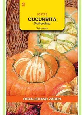 Imagen del producto de Semillas de la variedad "Oranjeband Cucurbita Turbaniformis Bischofsmuetze" - 1 paquete