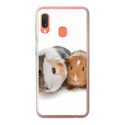 Produktbild von MuchoWow® Handyhülle Schutzhülle Hülle für Samsung Galaxy A20e Fünf Meerschweinchen Silikon Softcase Handy Hülle - Abdeckung