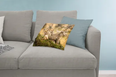 Produktbild von MuchoWow® Zierkissen Sofakissen Wohnzimmer Dekokissen 60x40 cm Leopard - Wald - Tier - Kopfkissen - Polster mit Foto