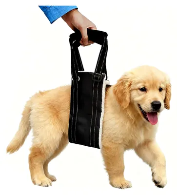 Produktbild von Hunde Tragehilfe, Einstellbare Gehhilfe und Rehabilitationstragegurt für verschiedene Größen, Sicherheitsunterstützung für behinderte, verletzte oder ältere Hunde, L