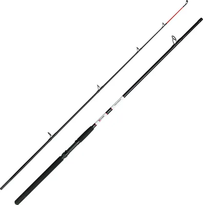 Zdjęcie produktu dla Wędki do łodzi DAM Aqua-X Allround 2.40m 100-200g