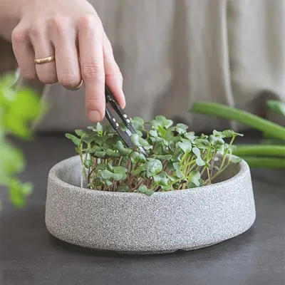 Produktbild von Pflanzstation »Mikrogarten« aus Keramik.