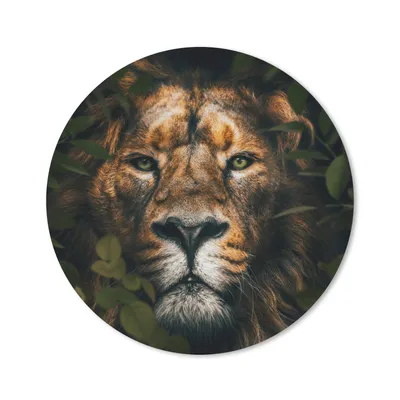 Produktbild von MuchoWow® Mauspad Mousepad Pflanzen - Löwe - Dschungel 40x40 cm - Mousepads - Maus Mat - Pad - Mausunterlage - Schreibtisch Accessoires