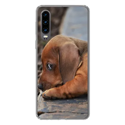 Produktbild von MuchoWow® Handyhülle Schutzhülle Hülle für Huawei P30 Dackelwelpe liegt am Rande des Bürgersteigs Silikon Softcase Handy Hülle - Kartenbesitzer