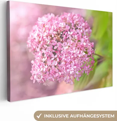 Produktbild von OneMillionCanvasses® - Leinwandbilder - 150x100 cm, Nahaufnahme einer Hortensie, Wandbilder Kunstdruck Wanddekoration