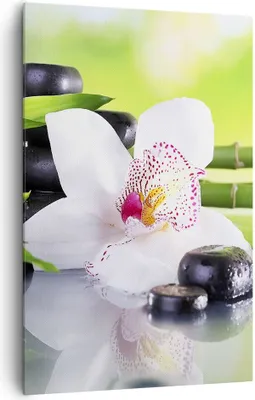 Produktbild von Bild auf Leinwand - Leinwandbild - Einteilig - blume orchidee - 80x120cm - Wand Bild - Wanddeko - Wandbilder - Leinwanddruck - Kunstdruck - Wanddekoration - Leinwand bilder - Wandbild - PA80x120-3659