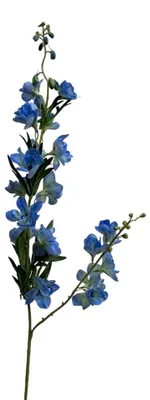 Immagine prodotto di Delphinium real touch 105 cm blu
