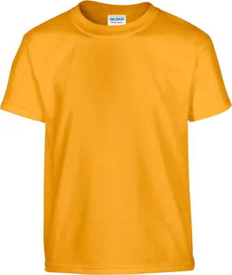 Productafbeelding van Gildan - T-shirt voor kinderen, model RW10062 (maat S), kleur goud