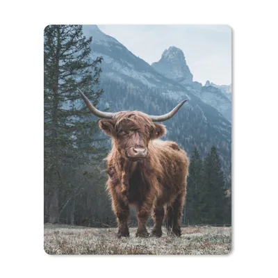 Produktbild von MuchoWow® Mauspad Mousepad Schottischer Highlander - Tiere - Wald 30x40 cm - Mousepads - Maus Mat - Pad - Mausunterlage - Mausmatten