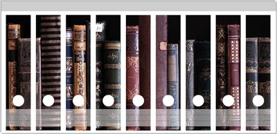 Produktbild von Wallario Ordnerrücken Sticker, selbstklebend für breite Ordner, 9 Stück, Motiv Bücherregal mit alten Büchern