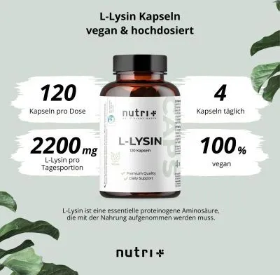Produktbild von nutri+ L-Lysin | 120 Kapseln | 2200 mg L-Lysin pro Tagesportion | Vorrat für 30 Tage | vegan