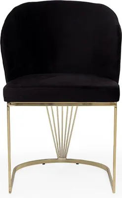 Immagine prodotto di Poltrona nera mobili da sala da pranzo di design sedie da pranzo sedia in acciaio inox