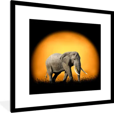 Produktbild von MuchoWow® MuchoWow® Gerahmtes Poster Elefant - Sonne - Zähne 40x40 cm - Poster mit zchwarzem Bilderrahmen - Poster - Plakat im Rahmen