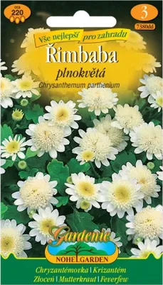 Obrázek produktu pro Heřmánkovec plnokvětý - Řimbaba, bílý