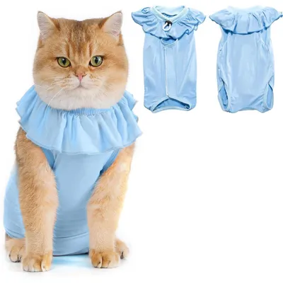 Productafbeelding van Kattenpak na operatie, herstelpak van modal, beschermend pak voor vrouwtjeskatten, geschikt voor buikwonden en huidproblemen, kleur: blauw