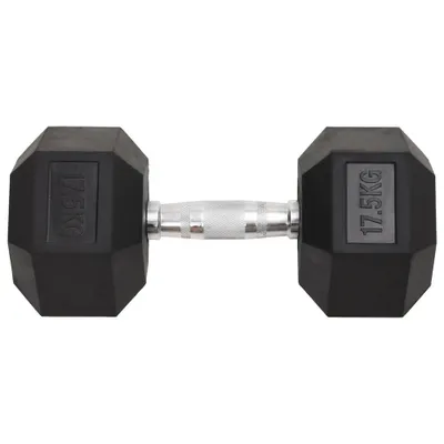 Produktbild von vidaXL Kurzhantel 17,5 kg Gusseisen