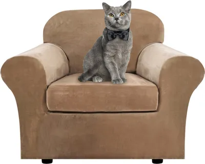 Produktbild von Samt Sofa Schonbezug Soft Stretch Couch Bezug High Elasthan Möbel Protector, 1-Sitzer / 81-122 cm,Khaki