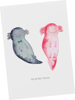 Produktbild von Mr. & Mrs. Panda Postkarte Axolotl Freundin - Weiß - Geschenk, Valentinstag, Grußkarte, Postkarten, Liebe, Ansichtskarte, Lurch, bildkarte, Schwanzlurch, Fotokarte