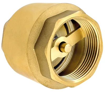 Imagen del producto de Válvula de retención de latón de alta calidad para instalaciones de jardinería y fontanería