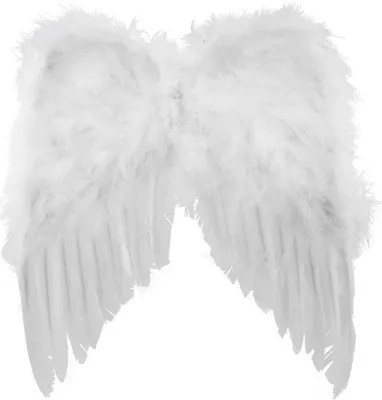 A pair of white angel wings on a white background.