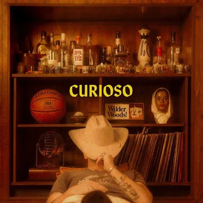 Image de Wilder Woods : Wilder Woods : Curioso - Bertus Musikvertrieb - (CD / C)