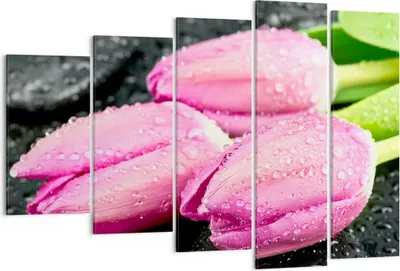 Produktbild von Bild auf Leinwand - Leinwandbild - Tulpen Tau Steine Pflanze - 150x100cm - Wand Bild - Wanddeko - Leinwanddruck - Bilder - Kunstdruck - Wanddekoration - Leinwand bilder - Wandkunst - EG150x100-2485